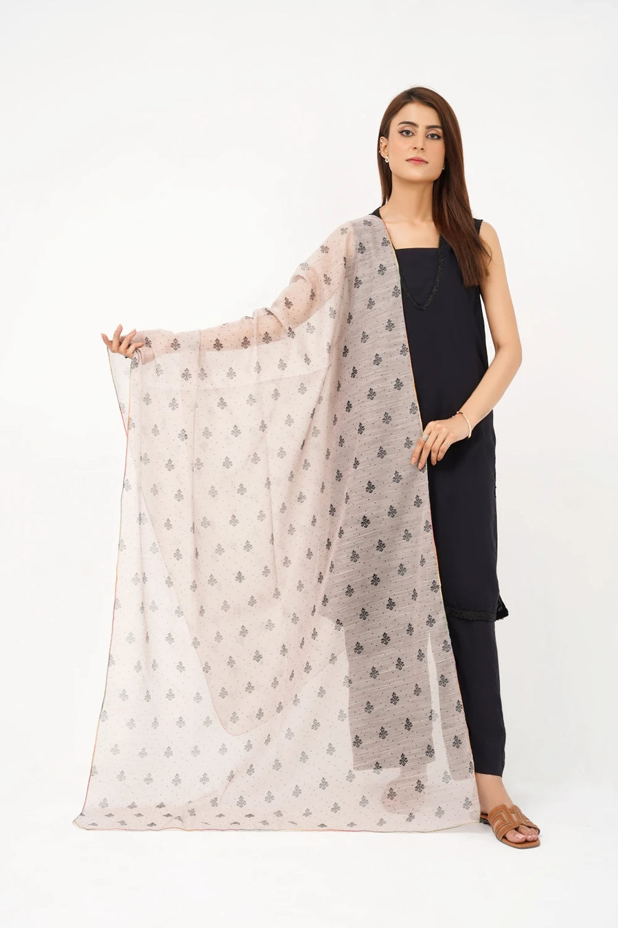 Reverie -Manar Dupatta