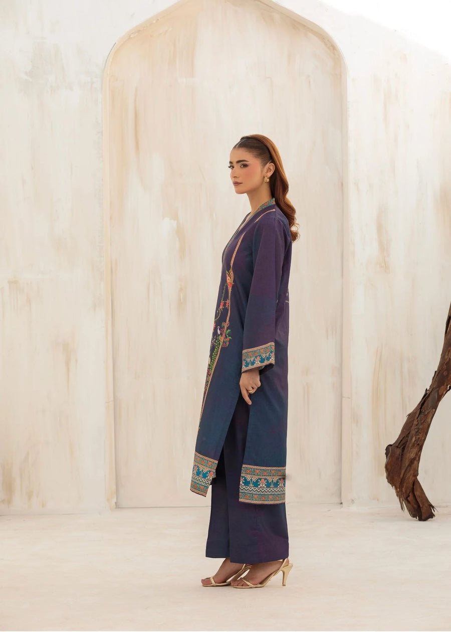 Nayab- Rawsilk set