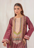 Sahiba- Rawsilk set