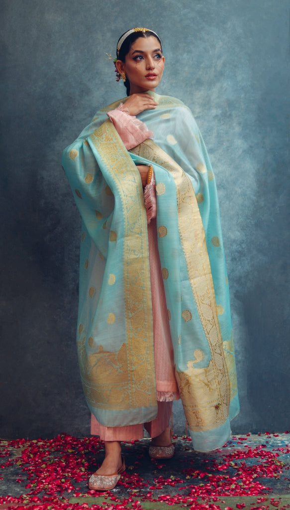 Neela Aasman