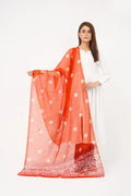 Solstice - Manar Dupatta