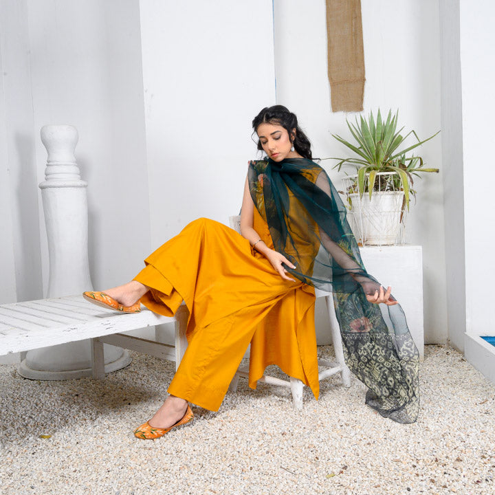 Asteria | J03 - Zaymal